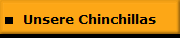 Unsere Chinchillas