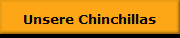 Unsere Chinchillas