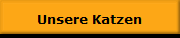 Unsere Katzen