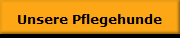 Unsere Pflegehunde