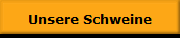 Unsere Schweine